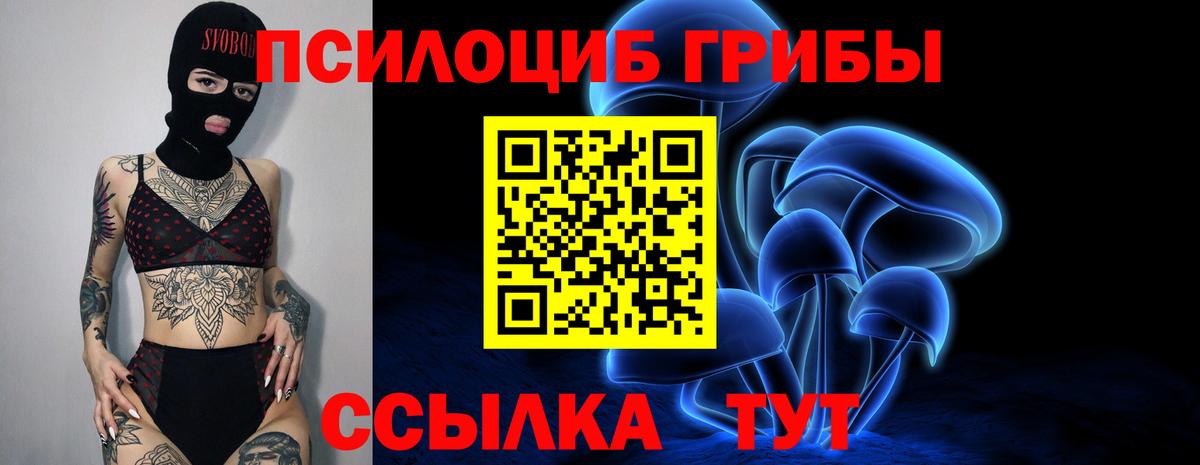 Псилоцибиновые грибы мицелий Апатиты